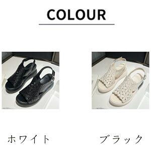 X|[cT_  fB[X ₷ T_ C RtH[g T_  y T_ ɂȂ r[`T_ C xN Xj[J[ X|[c T_ A