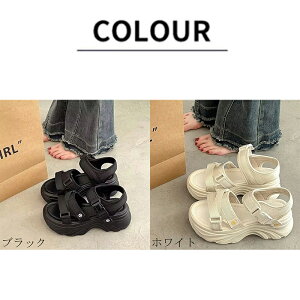 X|[cT_ T_ T_ fB[X X|T ₷ Ȃ  ₷ y JWA EȂ }WbNe[v ɂȂ ʋC K lC   