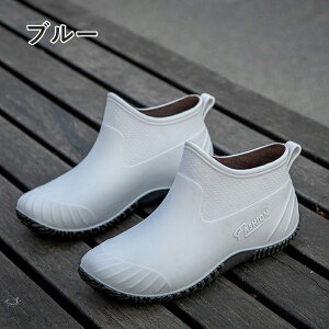 Cu[c CV[Y ZC C   y ~h ₷ JC EhgD V[g y Sh h ނ  ₷ L _ K[fjO fB[X