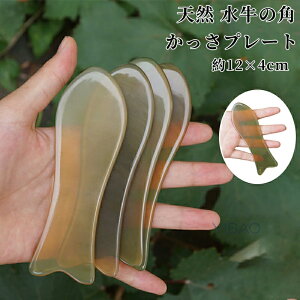 v[g   XNCsO {[h e  }bT[W JbT JbTv[g 炩v[g VR ̊p N c{ ډ C ^ 