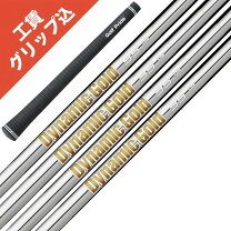 楽天市場】ダイナミックゴールド 120の通販 