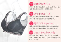 育乳ブラ補整ブラブラジャー細みえファスナーフロントサポートDB118201ブラデリスグレージュシャンパンブラックMLLL3L【BRADELISNEWYORK◆細みえスタイルフロントファスナーブラ】