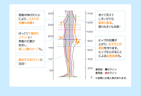 【早割特価600円OFF★5/25(金)9:59迄】弾性ストッキング着圧ストッキング【送料無料】140デニールむくみ対策医療用編機使用【あす楽対応】【3足組割引】【キュットスリムプロ(吸汗速乾タイプ)】