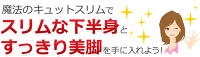 弾性ストッキング【送料無料】【68%OFF】【魔法のキュットスリムプロ】同色同サイズ2足セット!(2枚組)S/M/L/LLサイズエステサロンと共同設計の弾性ストッキング140デニールワンランク上の履き心地Q'ttoSlimPRO