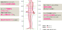 着圧タイツ★送料無料★66%OFF!強力ガードル機能付キュットスリム中-上級者用タイツ・美脚/冷え性/ブーツむくみ対策!フルレングス/カラータイツ肌が透けない厚手140デニール糸【あす楽対応】
