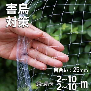 yTCYLx2m10mI\Iz hlbg 25mmH 悯lbg悯lbgx_lb t悯lbg gڂ傤lbgݖԕ5m×5mʎ؍͔|LN