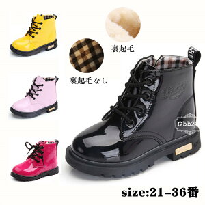 V[gu[c LbY ̎q j̎q qC qp tH~ N  NтȂ u[c qC w w ǂ  jp JWA RN[ \   