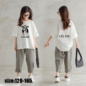 ؍q ZbgAbv  JWA i` tVc Y{ W[W `FbN  pc vg ̎q  ][g LbY ǂ  JWA ꂢ /