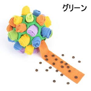 y2023lCVoz  ʂ݌p  LplCmߋ ybga Hh~  IQ koP ^s H΍