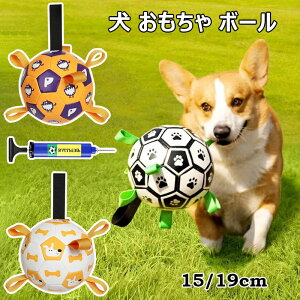   {[ Ct  g[uV mߋ TbJ[ VRS ϋvg[jO ^s XgX Pߋ TbJ[{[ ݂₷ e͐ Lk [v