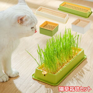 水耕栽培猫草 ボックス 猫草栽培キット 正方形 長方形 2個セット 猫草プランター 猫草栽培セット ネコ草 ねこ草 毛玉ケア 水植物 スプラウター 発芽コンテナー お手入れ用品 グリーン ベー