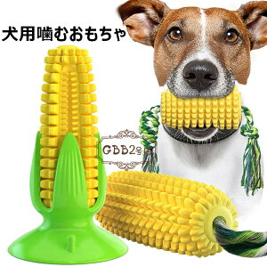 pނ gERV̌` p ނ ̏o v puV ̎uV ̊ނ a puV XgX ^s P