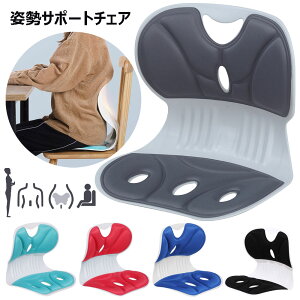 pT|[g`FA q l 2ރTCY p ֎q Ւɂ p␳V[g LwP ֎q ᔽ NbV ItBX  Â  ΍ 鎃PA pǂȂ ֎q N