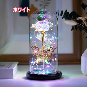 o ͂Ȃ  KN S[hbL[Y t[Cg LEDCgt dr ԑ v[go LL KXh[ NX}X o^Cf[ t[ v[g 