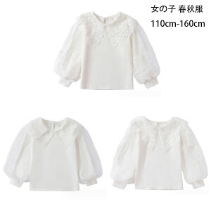 q ̎q tH Pn gbvX  y [X TVc zCg w   w 󌱗p \ ܎O LbY  TVc    t H 