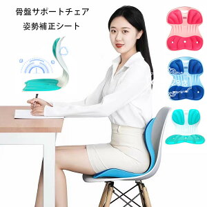 y10%OFFN[|zՃT|[g`FA p ֎q lp Ջ`FA 邾ɂȂȂNbV ItBX`FA/Q[`FA//֎qpNbV  y ^