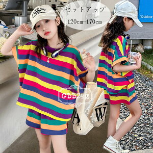 y6%OFFN[|zq ̎q ĕ ZbgAbv LbY JWA F XgCv ㉺Zbg LbY W[W t@bV 2_Zbg TVc+V[gpc 킢 t@b