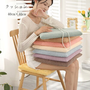  p^ NbV 40cm×40cm k ` `FApbh `FA NbV RR  ֎qp NbV KAg Vzj 蕨 NbV zj j Ε 