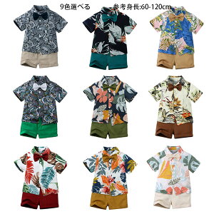  ؍q j̎q xr[ nC ZbgAbv s ][g Cxg j̎q a  \ LbY Vc+V[c+lN^C  am ԕ 3_Zbg 