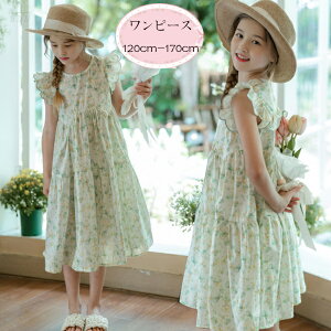  ؍q ̎q s[X ԕ t s[X XEB[g LbY vZX s[X ^C_C ~fBA䃏s[X q  s[ \ Ē Beʐ^ 