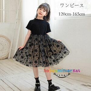  ؍q ̎q s[X ubN ăs[X `[ ԕ LbY  s[X tH[} \  s[X G Beʐ^ p[eB[ Cxg a v