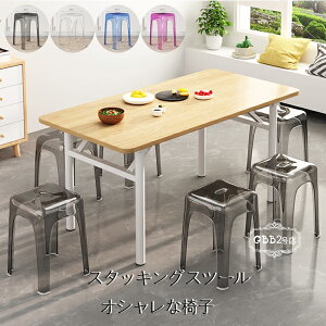  X^bLO Xc[ IVȈ֎q 46cm F X^bLO`FA 6FIׂ CX ֎q Xc[ RpNg Lb` _CjO ꃉEhx` Vv 