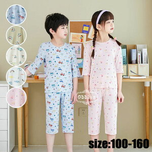 LbY pW} qpW} ̎q j̎q  xr[  gbvX+Y{  vg jZbNX [EFA   ZbgAbv 킢   Q i