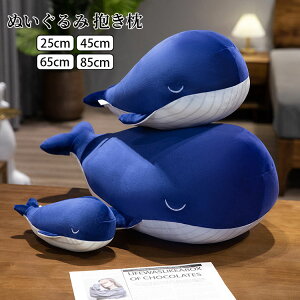 yzNW ʂ RR    ViKXNW _炩  q ޏ 킢  傫TCY  YQ   