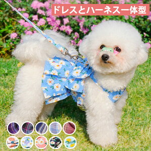 yzL  Lp n[lX ˂ hXt lR Ck ybg xXg 킢 Ȃ _u ȒP  U o Lbg hbO bV XS S M L 킢  