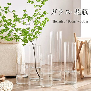 【10%OFFクーポン】花瓶 ガラス おしゃれ 花器 大きい 一輪挿し フラワーベース 透明 20cm 30cm 60cm 北欧 インテリア 雑貨 新生活 リビング 寝室 玄関 書斎 窓辺 食卓 花びん 円柱 生花 造花 植物
