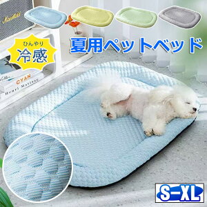 y6%OFFN[|zڐG⊴f ybgxbh p t 􂦂 }JF 40/50/60/75CM 20KG܂őΉ ~ Ђ}bg ybg L q ^ ^ɓKp pNbV ėp  y