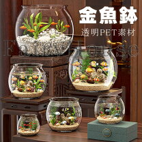 楽天市場】大型 壺（水槽・アクアリウム｜熱帯魚・アクアリウム 
