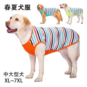   ̕   t ĕ hbOEFA TVc o| U Ăh Eѕی ʋC  ^ ^ u[ O[ IW XL~7XL