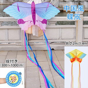    JCg   JtJCg  ߋ q l ƏS҂̂߂̑   g ŗg  I` gݗĊȒP ti300`1000 mj傫