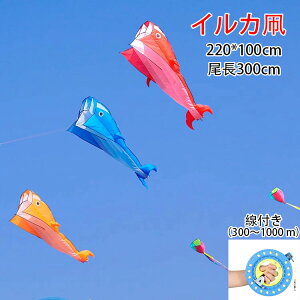   ̃CJ XJCJCg   yʂŏv gݗȂ CJ  g AEghA r[`  q v[gȂǍœK ߋ q l ƏS҂̂߂