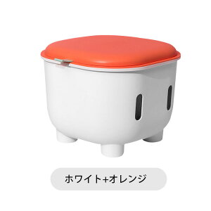 [x` qp[| ȍ| @\[Xc[ C𗚂ւ鍘| ƒp [   ֎q IV CX  킢 | q ǂ `FA 