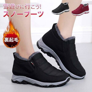 Xm[u[c fB[X [gu[c h ۉ ~ H~  h ~C ₷ }} N