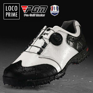 StV[Y XpCNX Y _C {vC Xj[J[ jOV[Y EH[LOV[Y amC L y  ʋC ^C