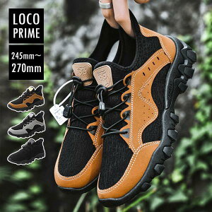 Y Xj[J[ gbLOV[Y oRC AEghA EH[LO oR Ro St L y ~ Lv nCLO  