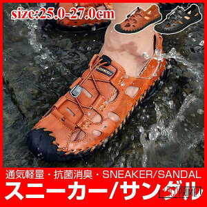 {v Xj[J[ bV RtH[gT_ Y {vC L X|[cT_   T{T_ r[`T_ ₷ Ռz