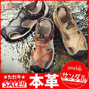 {v r[`T_ Y  T_ Xj[J[T_ X|[cT_ RtH[gT_ ₷ Ȃ ĐV JWA AEghA