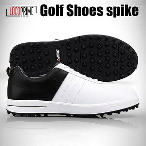 Y C StV[Y X|[cV[Y [t@[ JWAV[Y Xj[J[ y amC [Jbg Xb| V[Y ʋC Stpi