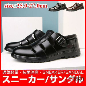 Xj[J[ Y  T_ rWlXΉ X|[cT_ rWlXV[Y ~ ₷ r[`T_ Ȃ ʋC y L