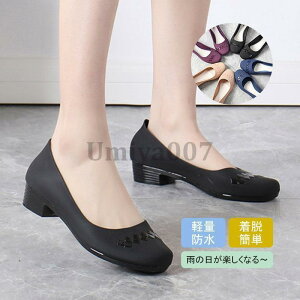 CV[Y nCq[ fB[X q[ IV r JWA AEghA h ʋ ʊw ꂢ ֗ JC 