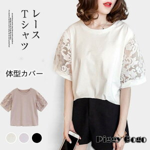 TVc  fB[X N[lbN Jbg\[  gbvX n ̌^Jo[ LC 