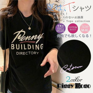 tVc ĐV V2023 O   fB[X Jbg\[ gbvX n Vv  JWA V Vi 20 30 40 50 