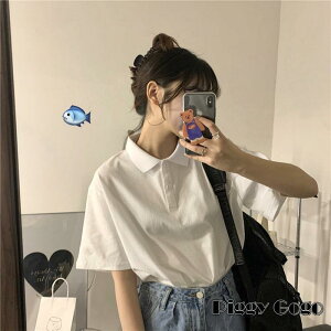 TVc fB[X  TVc gbvX n ʋC K y   G Vv JWA  t@bV