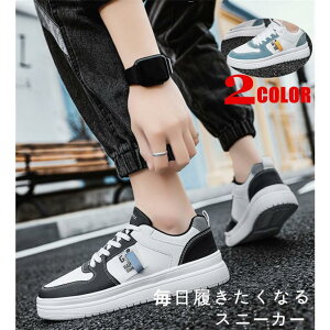 Xj[J[ Y jOV[Y StV[Y y ʋC ^C X|[cV[Y EH[LO WMOV[Y JWA ~ AEghA