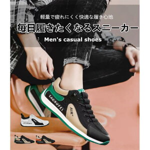 jOV[Y Y y L ʋC ɂ ~ Xj[J[ JWAV[Y X|[c AEghA WMO g[jO ^C