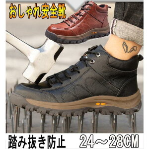 SC  Y fB[X v ɂ ݔh~ 傫TCY ʋC y Ɨpi yʁ@ܐی@ ƌC